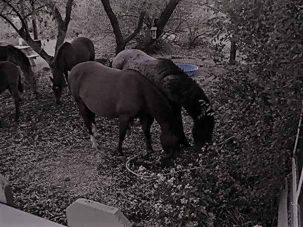 227427_5857817887_4914_n (2)